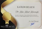 Dt. Kaan Kürşat Karacanoğlu Diş Hekimi sertifikası