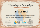 Psk. Hatice Adli Psikoloji sertifikası