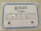 Uzman Aile Danışmanı İrem Gündoğdu Aile Danışmanı sertifikası