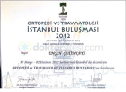 Prof. Dr. Engin Çetinkaya Ortopedi ve Travmatoloji sertifikası