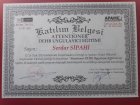 Dil ve Konuşma Terapisti Serdar Sipahi Dil Konuşma Bozuklukları sertifikası