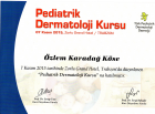 Doç. Dr. Özlem Karadağ Köse Dermatoloji sertifikası