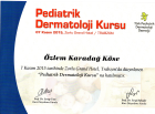 Doç. Dr. Özlem Karadağ Köse Dermatoloji sertifikası