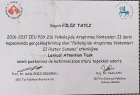 Psk. Filiz Tatlı Psikoloji sertifikası