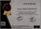 Psk. Kübra Akdeniz Psikoloji sertifikası