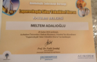 Op. Dr. Medine Meltem Adalıoğlu Kadın Hastalıkları ve Doğum sertifikası