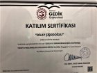 Psk. Dan. Dilay Şişkooğlu Psikolojik Danışman sertifikası