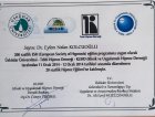 Uzm. Dr. Dt. Nalan Kolcuoğlu Diş Hekimi sertifikası
