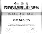 Op. Dr. Uğur Tolga Şen Üroloji sertifikası