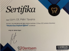 Uzm. Dt. Pelin Tavana Diş Protez Uzmanı sertifikası