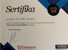 Uzm. Dt. Pelin Tavana Diş Protez Uzmanı sertifikası