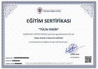 Aile Danışmanı Tülin Engin Aile Danışmanı sertifikası