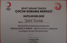 Psk. Dan. Zülal Özmen Psikolojik Danışman sertifikası