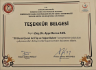 Prof. Dr. Ayşe Berna Anıl Çocuk Sağlığı ve Hastalıkları sertifikası