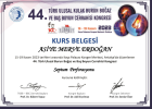 Op. Dr. Asiye Merve Erdoğan Kulak Burun Boğaz hastalıkları - KBB sertifikası