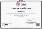 Psk. Berk İşlek Psikoloji sertifikası