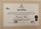 Psk. Dan. Handenur Özdemir Psikolojik Danışman sertifikası