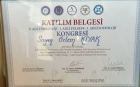 Psk. Dan. Özlem Kıyak Psikolojik Danışman sertifikası