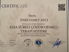 Uzm. Psk. Dan. Enes Samet Avcı Psikolojik Danışman sertifikası