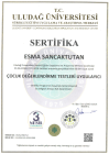 Aile Danışmanı Esma Sancaktutan Aile Danışmanı sertifikası