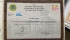 Dt. Sevdiye Umer Diş Hekimi sertifikası