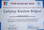 Psk. Ezginur Ayhan Psikoloji sertifikası