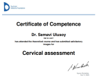 Op. Dr. Semavi Ulusoy Kadın Hastalıkları ve Doğum sertifikası