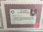 Op. Dr. Derya Ayşe Korkmaz Kadın Hastalıkları ve Doğum sertifikası