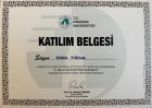 Uzm. Psk. Dan. Okan Tiring PhD(c) Psikolojik Danışman sertifikası