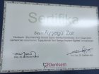 Dt. Ayşegül Zor Diş Hekimi sertifikası
