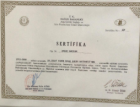 Op. Dr. Aynur Sarıhan Kadın Hastalıkları ve Doğum sertifikası