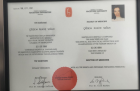 Op. Dr. Çiğdem Şanlıalp Kadın Hastalıkları ve Doğum sertifikası