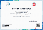 Psk. Yağmur Beste Efe Psikoloji sertifikası