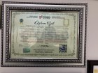 Op. Dr. Özlem Soyutemiz Gül Kadın Hastalıkları ve Doğum sertifikası