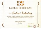 Dt. Hulusi Kokutay Diş Hekimi sertifikası