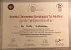 Yrd. Doç. Dr. Atilla Adnan Eyüboğlu Plastik Rekonstrüktif ve Estetik Cerrahi sertifikası