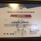 Dyt. Çiğdem Gözler Diyetisyen sertifikası