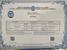 Çocuk Gelişim Uzmanı Kübra Yoldaş Demirbolat Çocuk Gelişim Uzmanı sertifikası