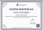 Psk. Çağla Tunay Baraz Psikoloji sertifikası
