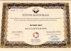 Klinik Psikolog Zeynep Tepe Klinik Psikolog sertifikası