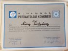 Op. Dr. Nuray Kitapçıoğlu Kadın Hastalıkları ve Doğum sertifikası