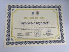 Uzm. Psk. Begümsue Taşdelen Psikoloji sertifikası