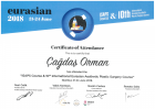 Op. Dr. Çağdaş Orman Plastik Rekonstrüktif ve Estetik Cerrahi sertifikası