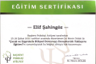 Aile Danışmanı Elif Kaya Şahingöz Çocuk Gelişim Uzmanı sertifikası