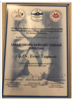 Op. Dr. Ersoy Taşpınar Genel Cerrahi sertifikası