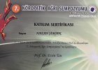 Uzm. Dr. Nazan Şimşek Erdem Nöroloji (Beyin ve Sinir Hastalıkları) sertifikası