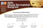 Doç. Dr. Özlem Karadağ Köse Dermatoloji sertifikası