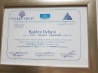 Uzm. Psk. Yaşam Yanardağ Çelik Psikoloji sertifikası