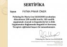 Uzm. Dr. Pınar Öner Çocuk ve Ergen Psikiyatristi sertifikası