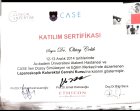 Op. Dr. Oktay Çelik Genel Cerrahi sertifikası